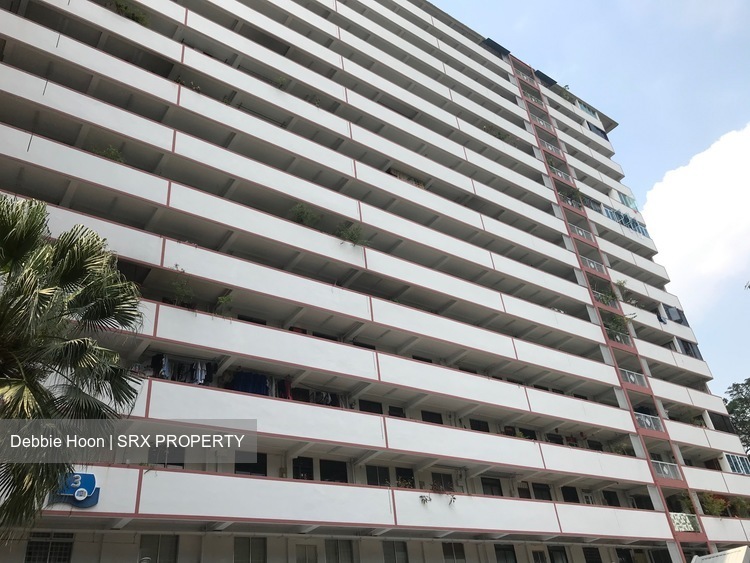 Blk 3 Beach Road (Kallang/Whampoa), HDB 3 Rooms #223511651